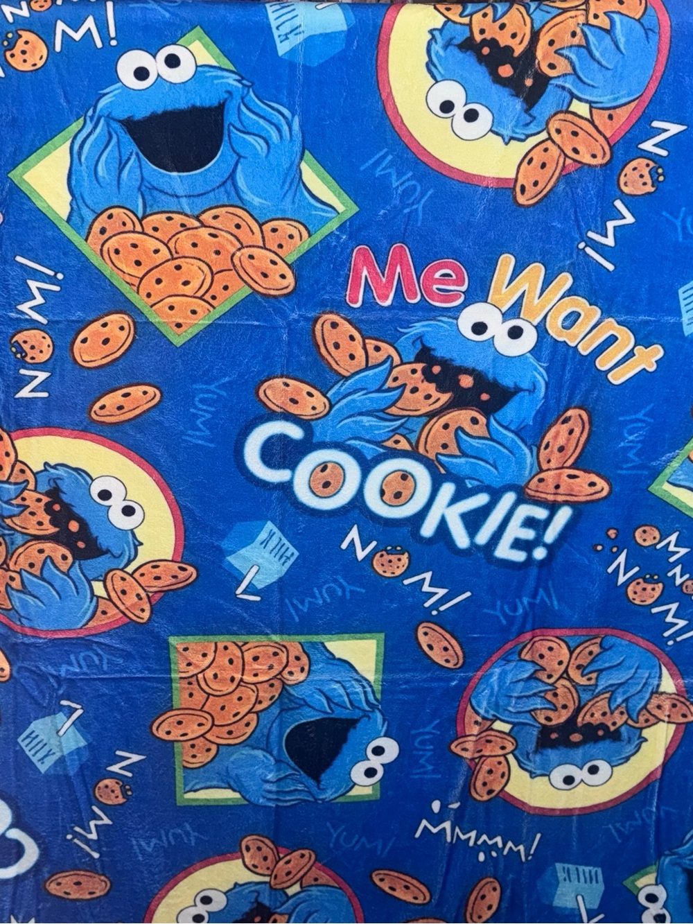 Blue Cookie Monster Minky Plush Throw Blanket - Picture 2 of 2